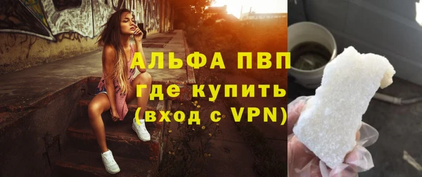 стаф Арсеньев