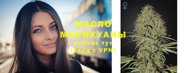 стаф Арсеньев