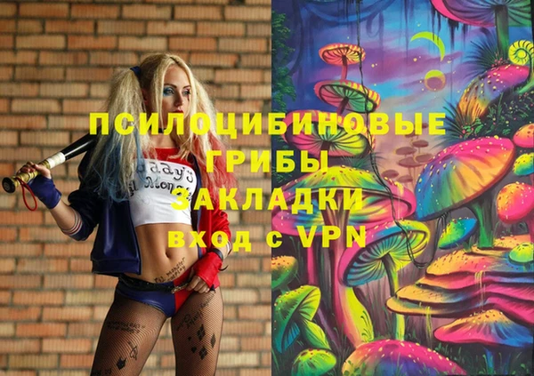 стаф Арсеньев
