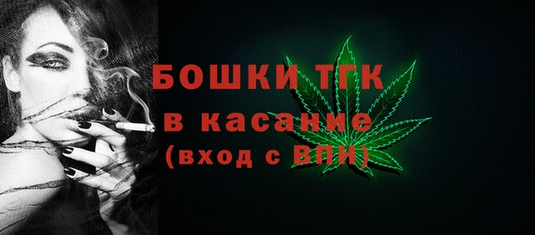 стаф Арсеньев