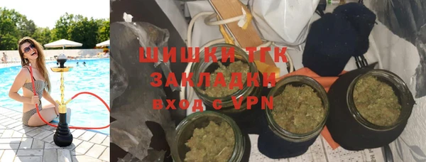 стаф Арсеньев